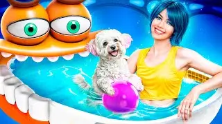 Inside Out 2! Kami Membangun Taman Air Untuk Hewan Peliharaan! Inside Out 2 Dalam Kehidupan Nyata!