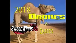 Sweepwings - Drone and Dudes 2018