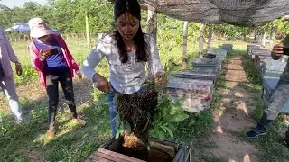 Trainees practice | swarming catch