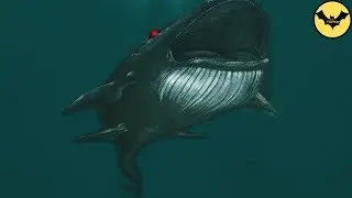 5 Scariest Sea Creatures That'll Appear in Our Oceans In The future.