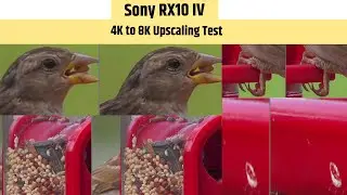 Sony RX10 IV 4K to 8K Upscaling Test