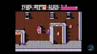 Ninja Gaiden Retro Review - That's Entertainment