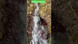 Жағасына жатып дем алатын жер екен. #shorts #reels #tiktok #national