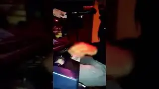 Ibrahım Halil Arslan  ana öyle zorki sensiz günlerim (süperr)