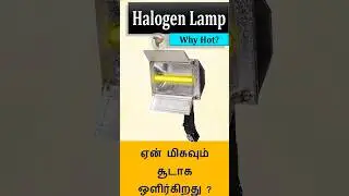 Halogen lamp