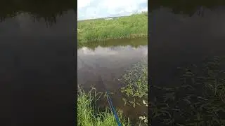 хороший день для рыбалки