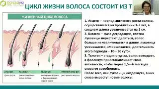 ВЫПАДЕНИЕ ВОЛОС