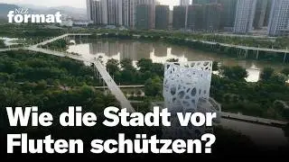 Vom Beton zur Schwammstadt: Warum Städte das Wasser nicht mehr abwehren sollten | Doku NZZ Format