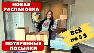 Распаковка! В 10 раз дороже, чем купили. Потерянные посылки Амазон США, успели на  первый день!