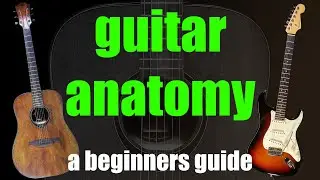 Guitar anatomy explained, what the parts of a guitar are called - First steps guitar course