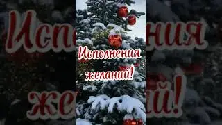 🎄🌞ЧУДЕСНОГО ДНЯ ❤@_0104 #видео #видеооткрытки #длявас