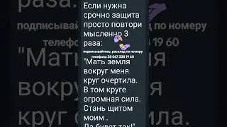26 августа 2024 г.