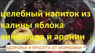 целебный напиток из калины яблока винограда и аронии