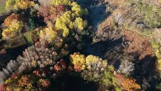 Beautiful Fall Day - Life's Good