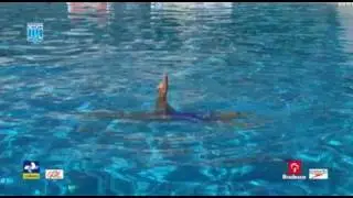 Módulo I - vídeo 7