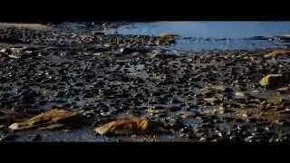 UE4 - Substance Designer