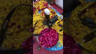 #ytshorts #dslr #foryou #shortsfeed #viral