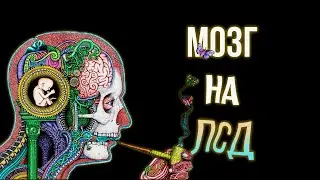ПСИХОДЕЛИКИ ч.1 [Феномены и сущности]