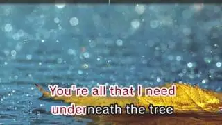 Kelly Clarkson - Underneath The Tree (Karaoke and Lyrics Version)