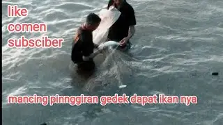 MANCING IKAN PINGGIRAN LAUT BESAR - BESAR IKAN NYA