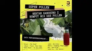Madu dengan nektar kangkung