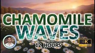 Relaxing Chamomile Waves for Deep Sleep | 12 Hours | BLACK SCREEN | Tinnitus & Anxiety Relief