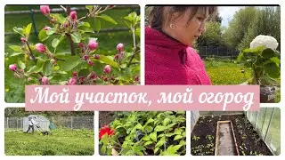 Целый день в огороде 🥬🌶️🍅Высадила рассаду 🫑Пересадила цветы 🌷