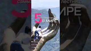 2 апреля 2024 г.