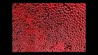 Trypophobia Test Images