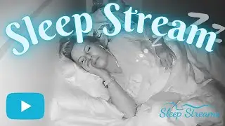 Sleep/Snore Stream with Puppies
