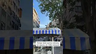 Приключения чайки в Стамбуле. Неудачная шутка 