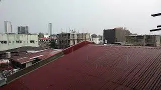 Morning Rain