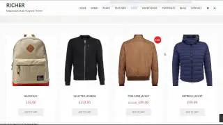 Richer - Responsive Multi Purpose Theme