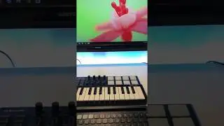 Awesome Midi Controller Review, MIDI Keyboard 25 Keys, Worlde Panda MINI II USB Keyboard MIDI