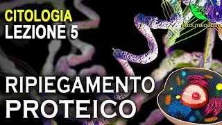 Co- and Post-Translational Changes; QUALITY CONTROL and REL -Cytology Lesson 5