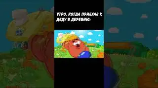 ЛЕТО В ДЕРЕВНЕ У ДЕДА: 