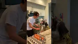 The *BEST* FLOUR PRANK on my GF 