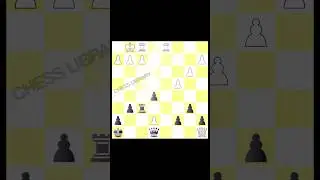 Chess video #2
