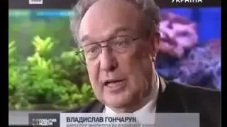 Копия видео 
