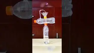 Science Project 