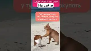 Котики 🐈 Кога купила тур сама без мужа 