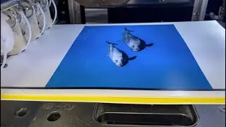 The making of Darren Jew's Far & Wild 2019 photo book