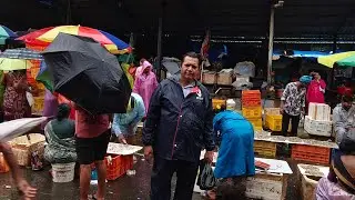 Malad Fish Market Mumbai 🇮🇳 || Mumbai Fish Wholesale Market 