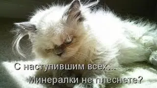 Эти забавные животные 2014