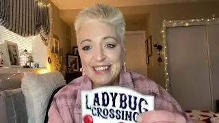 Mask Monday 03/20/23 and Friend Mail !! 💙🐞. #maskmondayladies