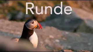 Runde Norway - April 2025