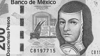 CEPAD ¿Sabes cuales son tus derechos como víctima?