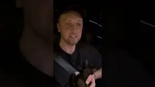 Ребят. Познакомьтесь - Десертик🥰❤️ 