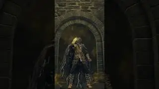 Me after 67 consecutive attempts on a boss | #eldenring #shadowoftheerdtree #shorts