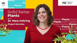 Build Better Plants ft. Dr. Mary Gehring | Build Better | MIT Challenges